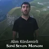 About Səni Sevən Mənəm Song