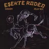 About eşekte rodeo Song