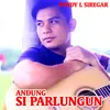 About ANDUNG SI PARLUNGUN Song