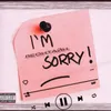 About I'm Sorry Song