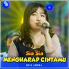 About Sia sia mengharap cintamu Song