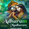 About Adharam Madhuram Song