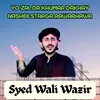 About Yo Zal Da Khumar Dakhay Nashee Starga Rawarhawa Song