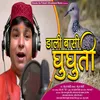 About Dali Basi Ghughuti Song