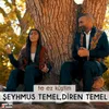 About Te Ez Kûştim Song