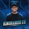 About Ignorando Eu Song