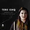 About Tere Ishq Song