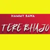 About Tere Bhajo Song