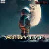 About Survive Song