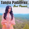 About TANGIA PA DALLEKU Song