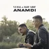 About Anamdı Song