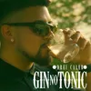 Gin No Tonic
