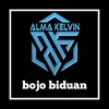 About Bojo Biduan Song