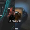 About Snake Song