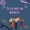 About Te lo dice mi bachata Song