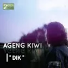 About Dik Song