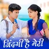 About Jindagi Hai Meri Song