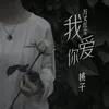 About 万丈红尘我爱你 Song