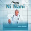 About Mimi ni Nani Song