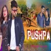 About Pushpa Song
