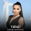 About Yaralı Song