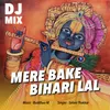 About Mere Bake Bihari Lal Song