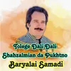 About Tolege Dali Dali Shahzalmian da Pukhtno Song