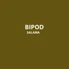 About Bipod Song