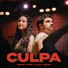 About Culpa Song