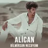 About Bilmirsən Necəyəm Song