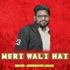 About Meri Wali Hai Song