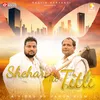 About Shehar Ki Titli Song