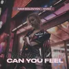 About Can You Feel Song