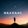 你是流星赶的月