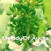 Melody Of Ayuta