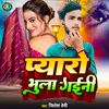 About Pyar Bhul Gaini Song