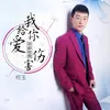 About 我给你爱你却给我伤害 Song