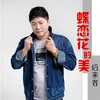 About 蝶恋花的美 Song