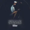 About STALK Song