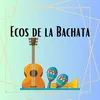 About Ecos de la bachata Song