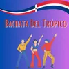 About Bachata del tropico Song