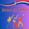 Bachata del tropico