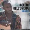 About I colori dell'ombra Song