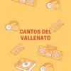 About Cantos del Vallenato Song