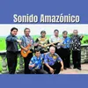 About Sonido amazonico Song