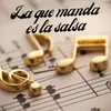 About La que manda es la salsa Song