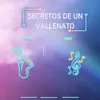 About Secretos de un Vallenato Song