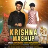 About Krishna Mashup Song