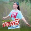 About ບອກໄວ້ຢ່າໄດ້ເຮັດ Song