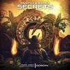 About Secrets Song